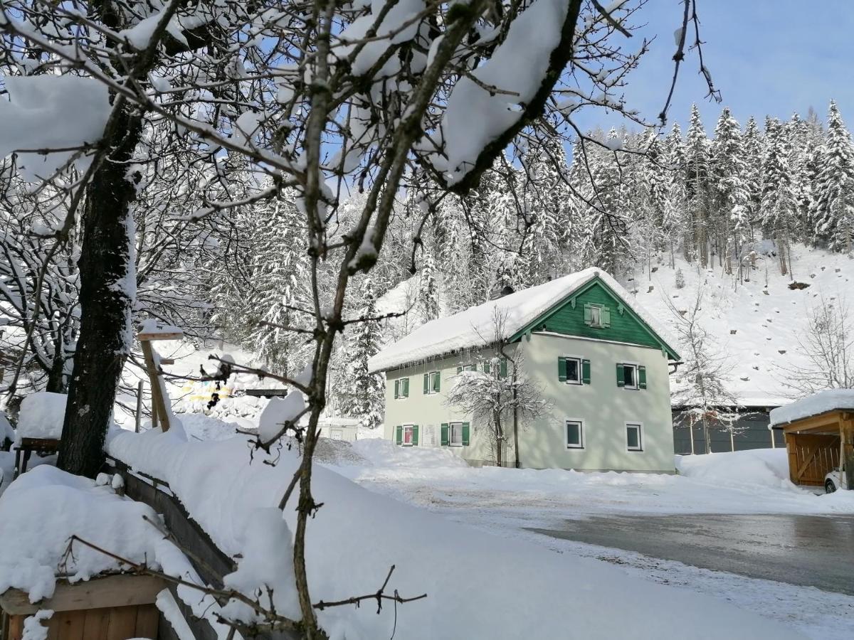 Ferienwohnung Saunahaus Annaberg im Lammertal Dış mekan fotoğraf