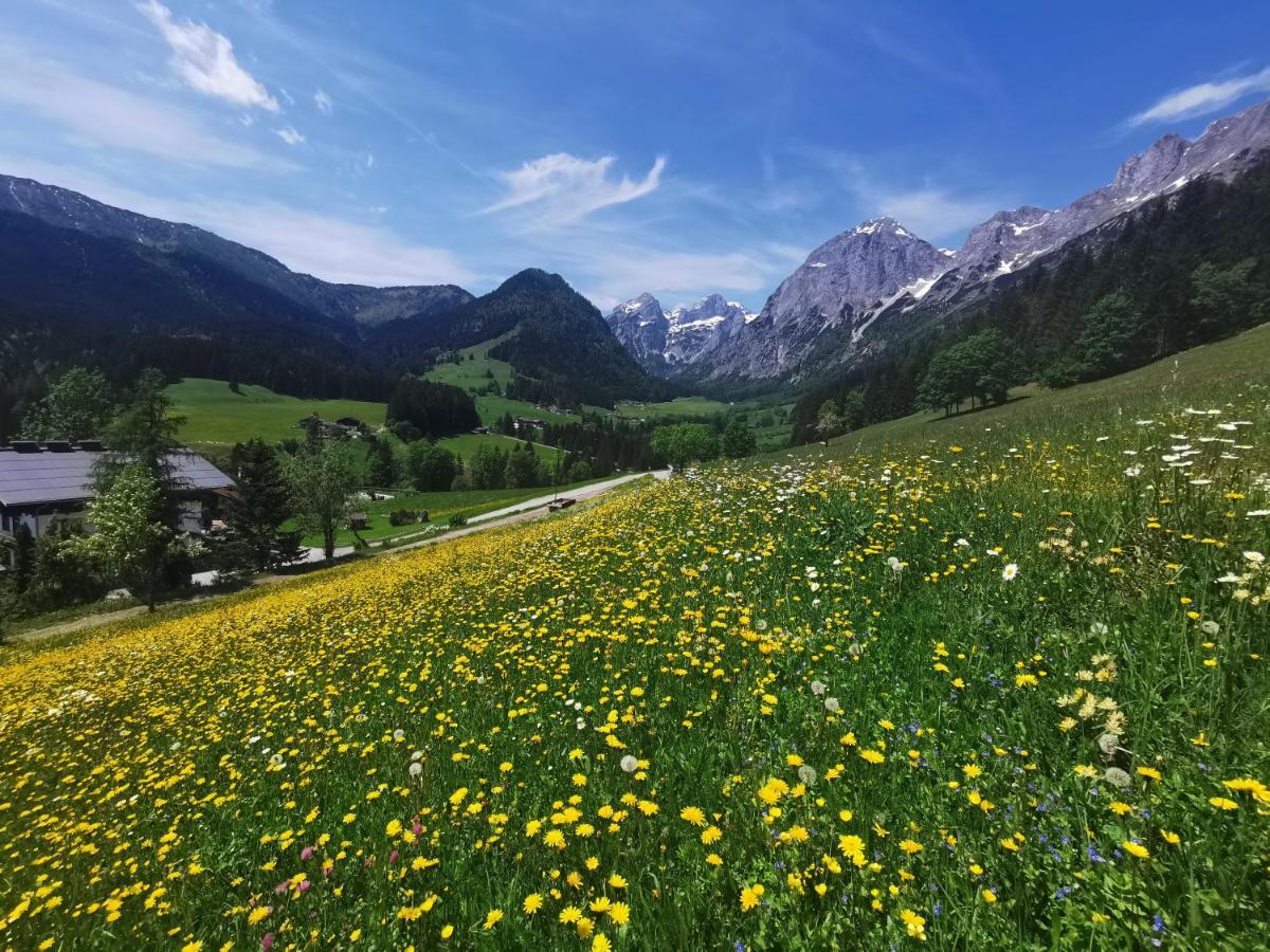 Ferienwohnung Saunahaus Annaberg im Lammertal Dış mekan fotoğraf