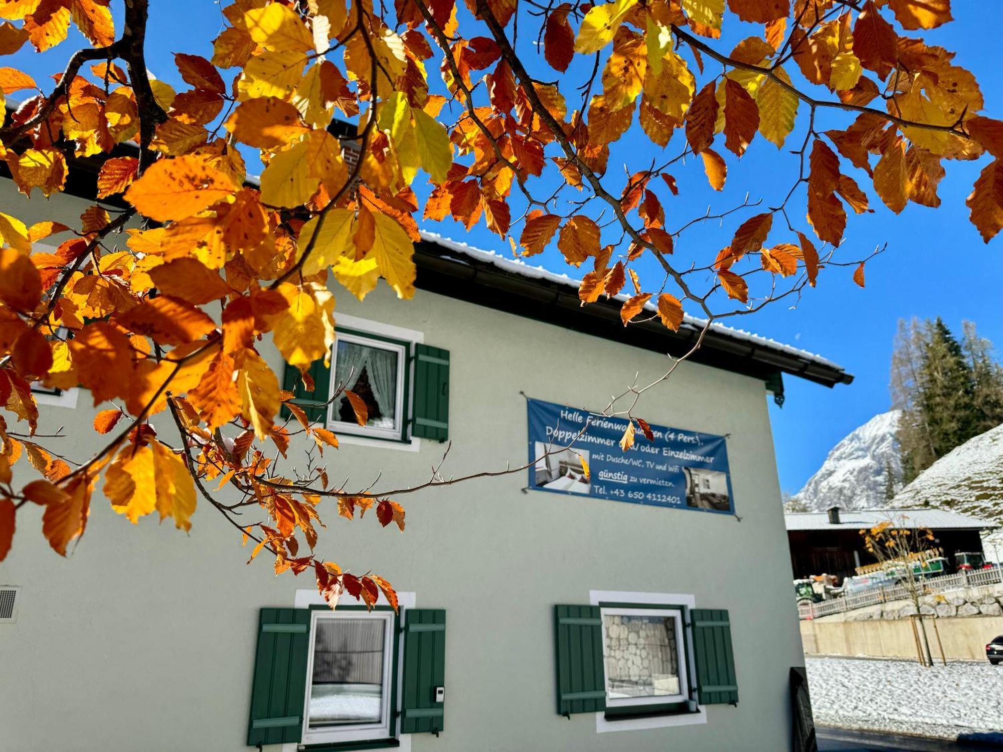 Ferienwohnung Saunahaus Annaberg im Lammertal Dış mekan fotoğraf