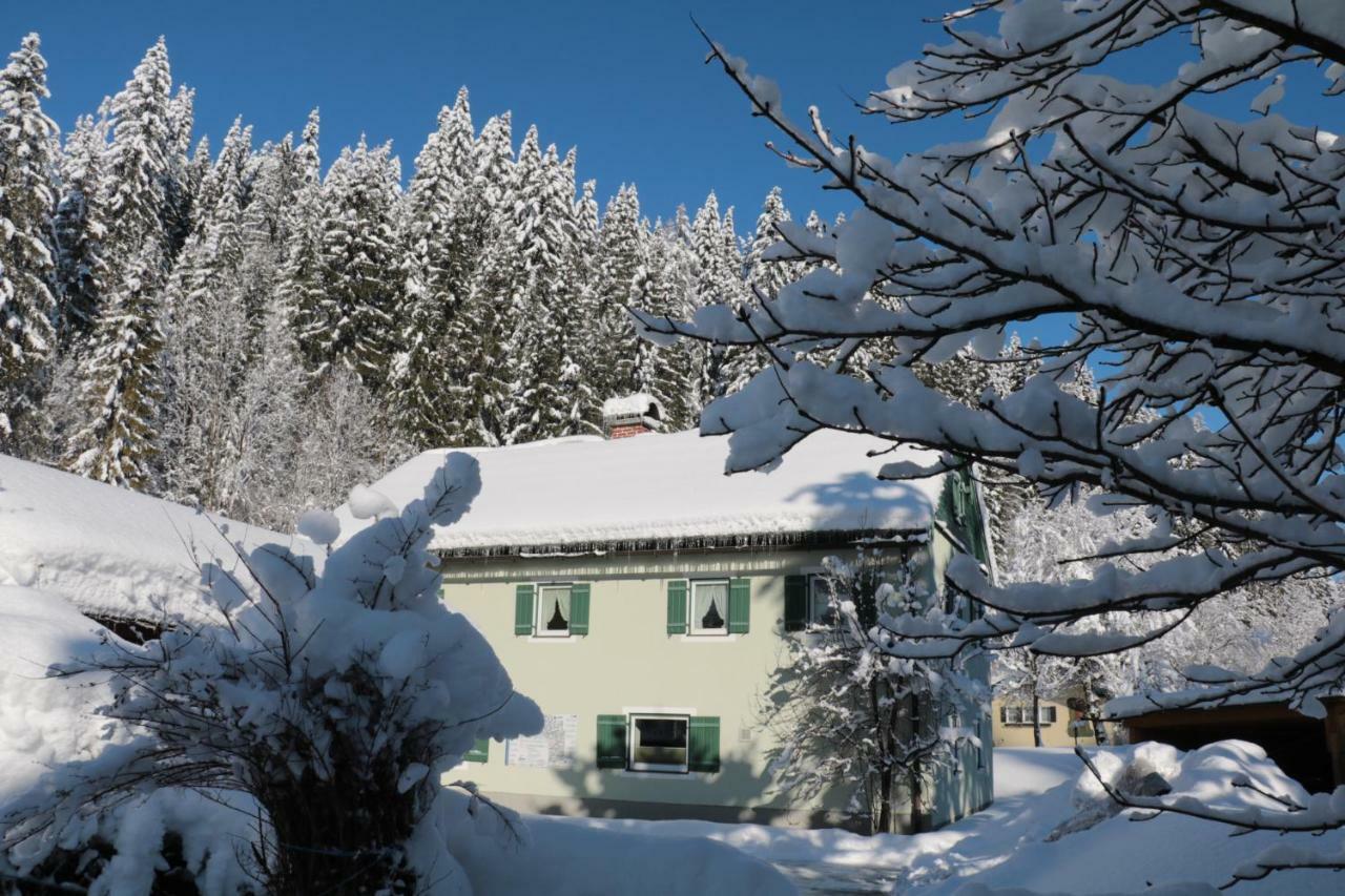 Ferienwohnung Saunahaus Annaberg im Lammertal Dış mekan fotoğraf