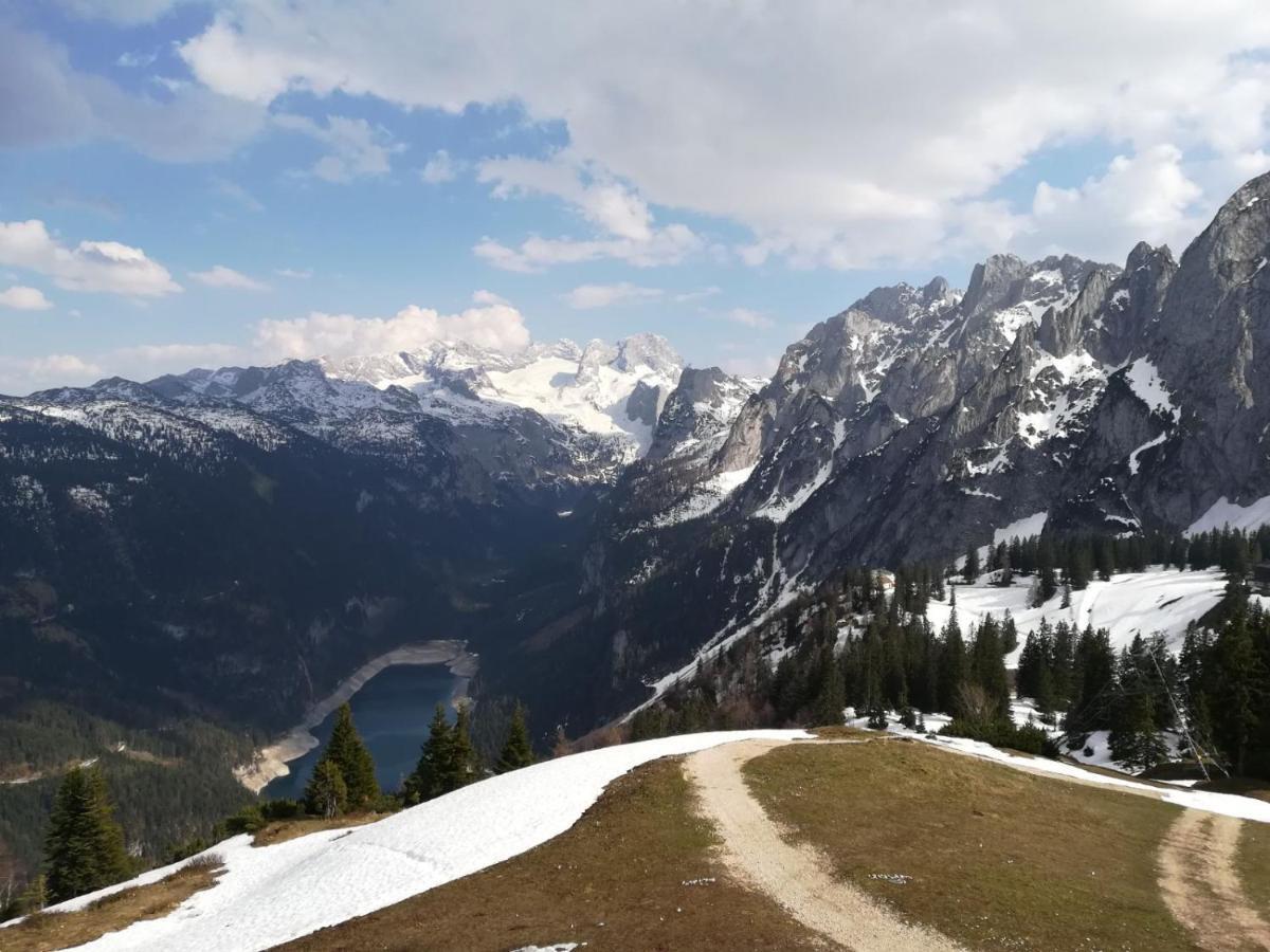 Ferienwohnung Saunahaus Annaberg im Lammertal Dış mekan fotoğraf